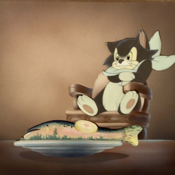 Meet your Posher, Cassius - Picture 1 of 1